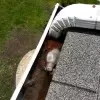 Clear Gutters Guaranteed!