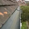 Cleared Gutters